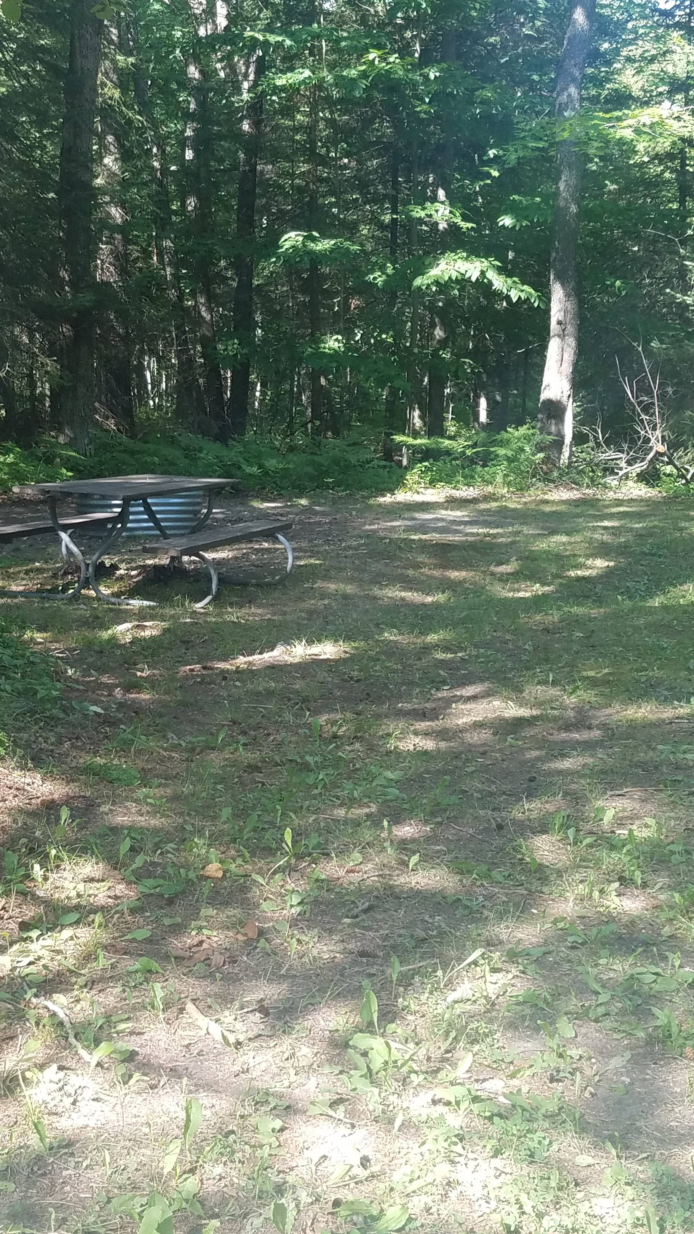 Camper submitted image from Black River State Forest Campground - 3