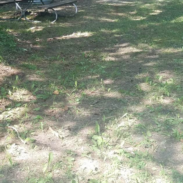 Black River State Forest Campground Camping Naubinway, MI The Dyrt