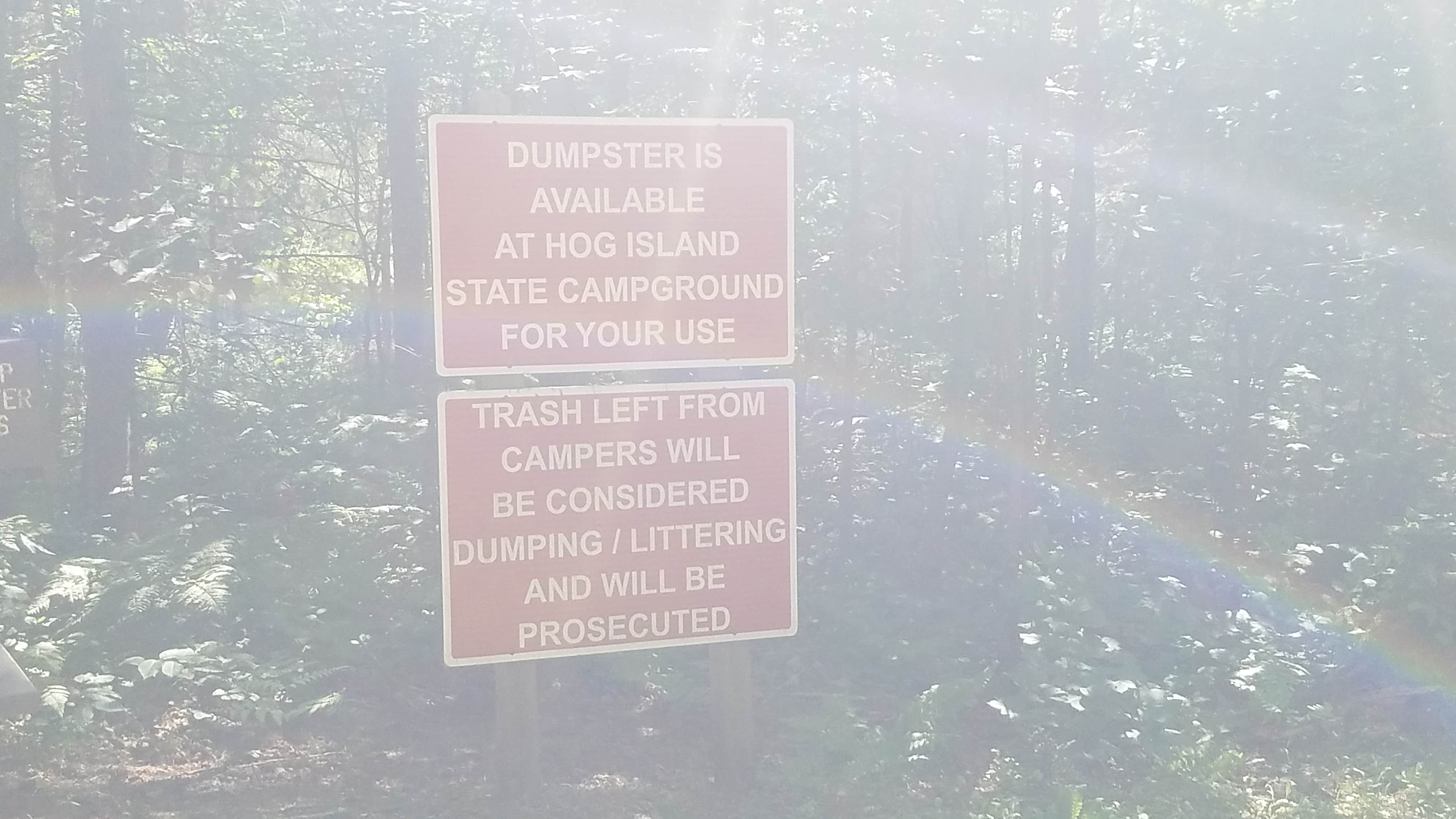 Black River State Forest Campground Camping The Dyrt