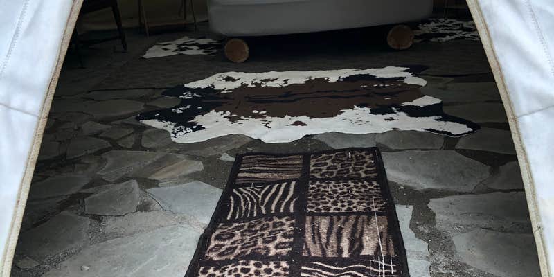 Camper submitted image from Cottonwood Camping & RV Park