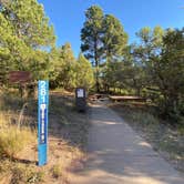 Review photo of Pa-Co-Chu-Puk Campground — Ridgway State Park by Fabio O., August 10, 2020