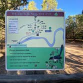 Review photo of Pa-Co-Chu-Puk Campground — Ridgway State Park by Fabio O., August 10, 2020