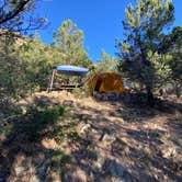 Review photo of Pa-Co-Chu-Puk Campground — Ridgway State Park by Fabio O., August 10, 2020