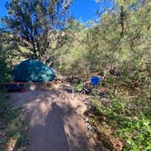 Review photo of Pa-Co-Chu-Puk Campground — Ridgway State Park by Fabio O., August 10, 2020