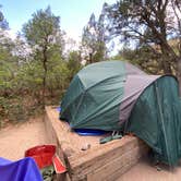 Review photo of Pa-Co-Chu-Puk Campground — Ridgway State Park by Fabio O., August 10, 2020