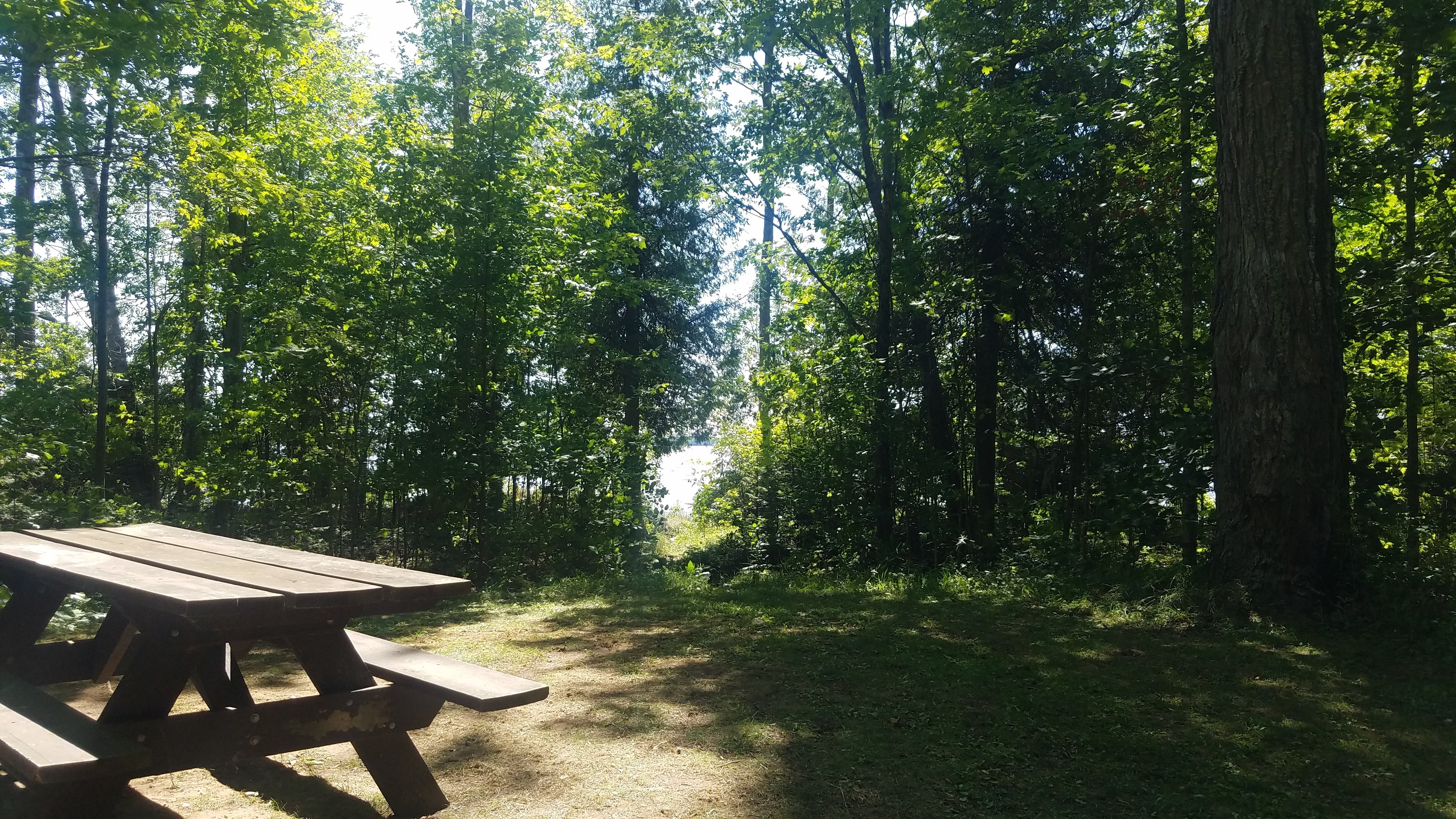 Camper submitted image from Milakokia Lake State Forest Campground - 2