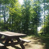 Review photo of Milakokia Lake State Forest Campground by Jennifer H., August 10, 2020