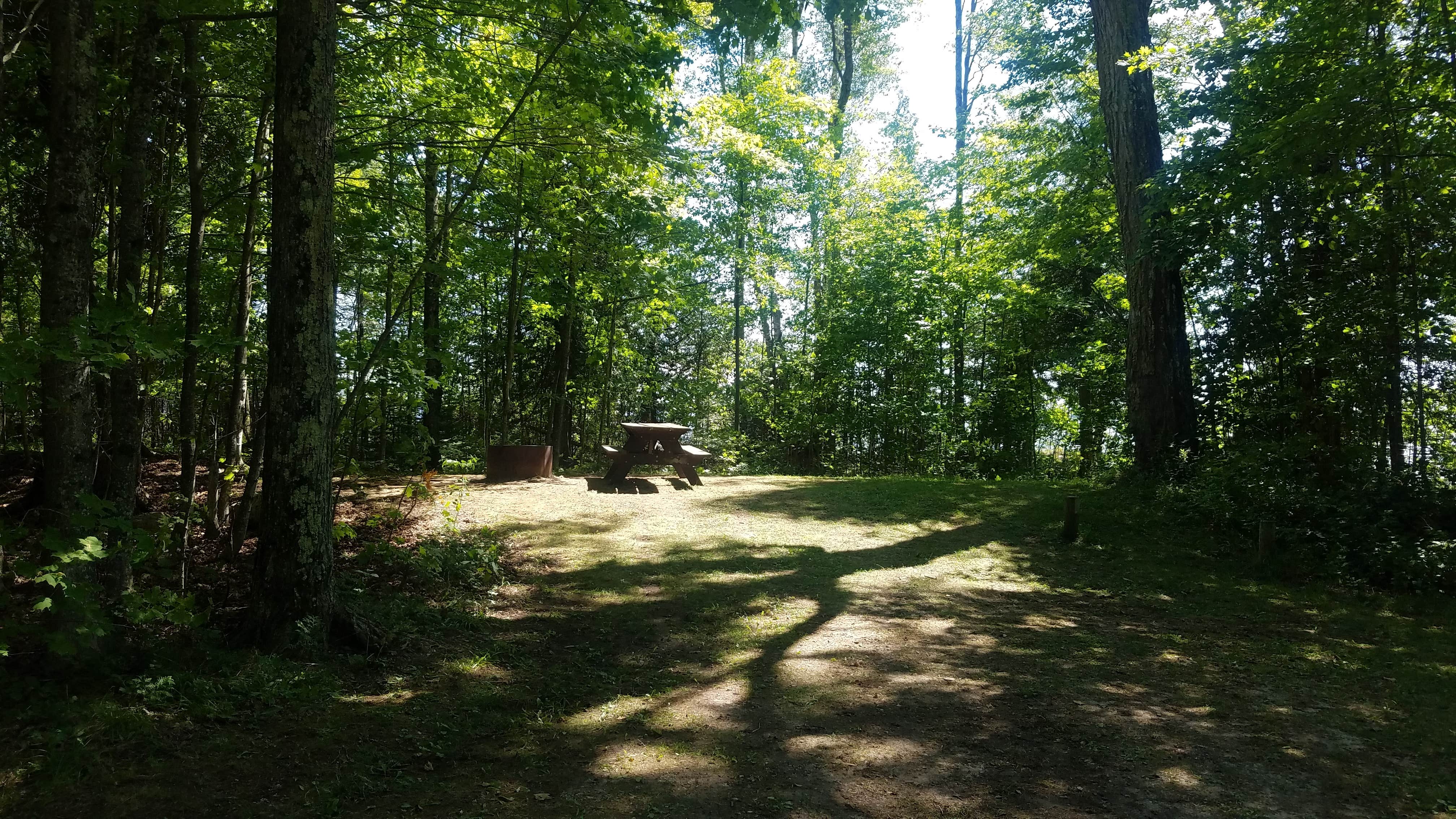 Camper-submitted photo at Milakokia Lake State Forest Campground near Gulliver, MI