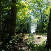 Review photo of Milakokia Lake State Forest Campground by Jennifer H., August 10, 2020