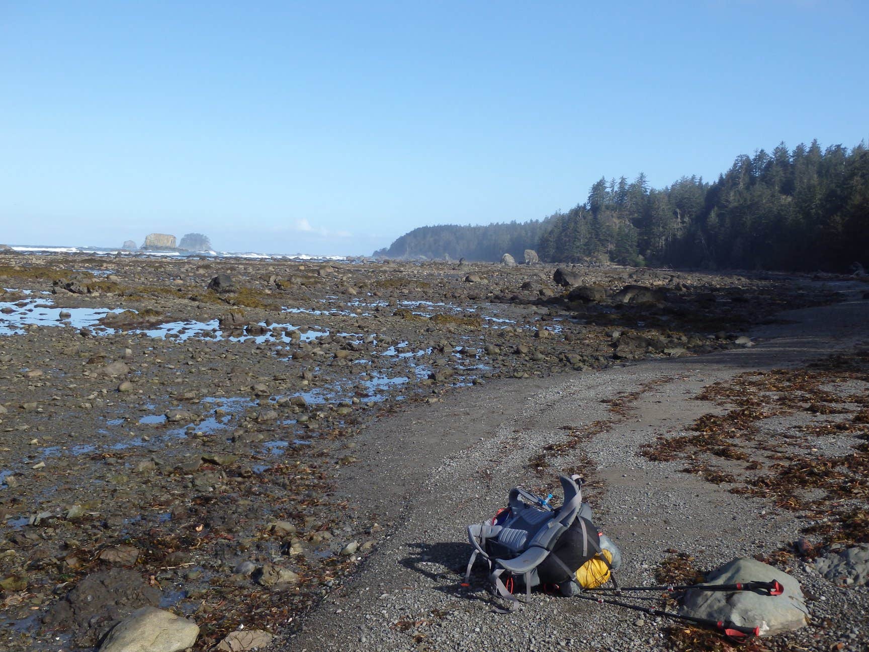 Camper submitted image from Cape Alava Campground — Olympic National Park - 2