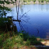 Review photo of Kingston Lake State Forest by Rachel , August 10, 2020