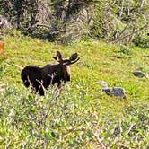 Review photo of Caribu Lake V.I.A Arapahoe Pass Trail by Todd C., August 10, 2020