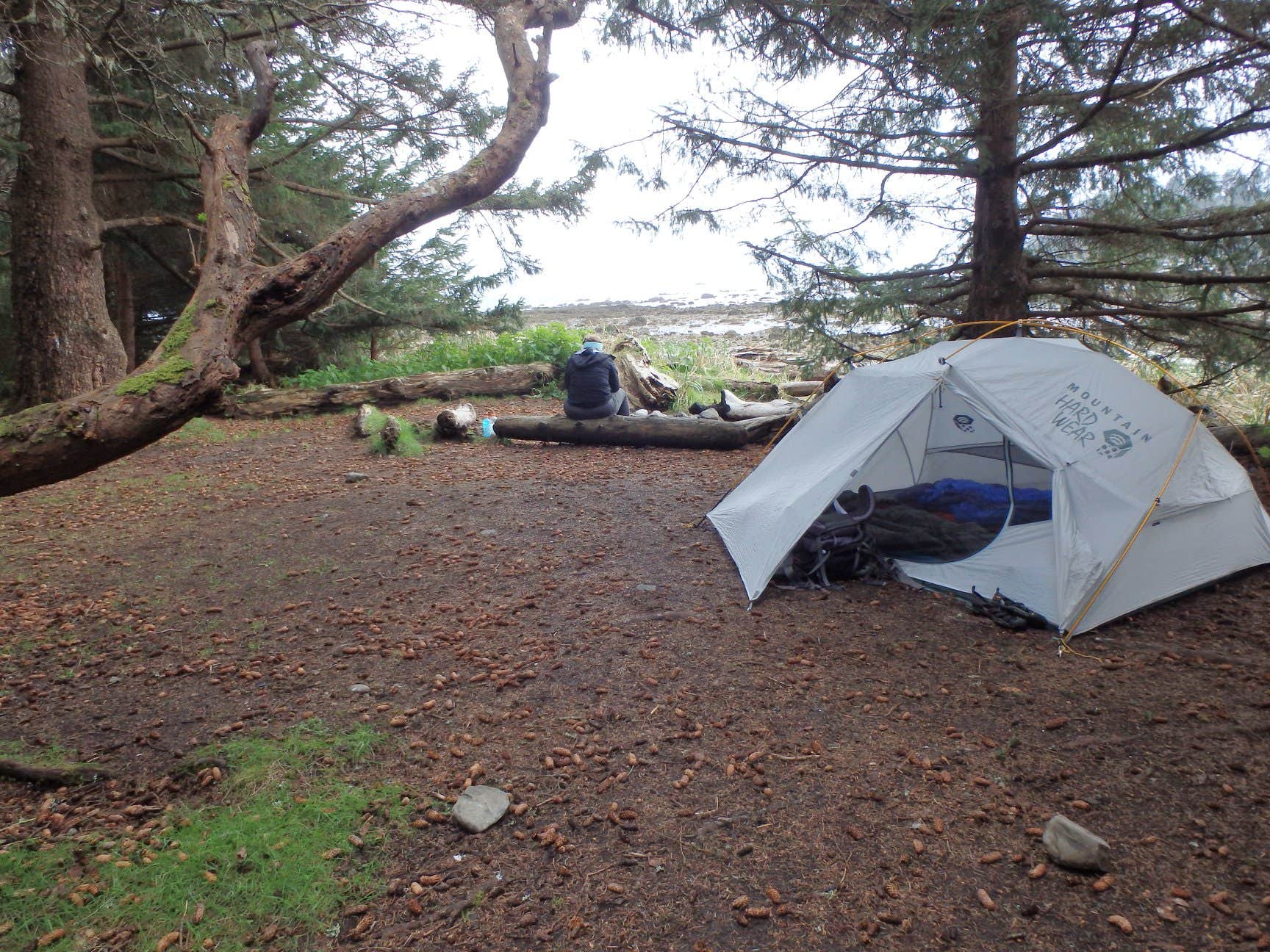 Camper submitted image from Cape Alava Campground — Olympic National Park - 5