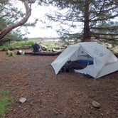 Review photo of Cape Alava Campground — Olympic National Park by Delaney M., April 22, 2018