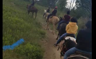 Cindy  M.'s photo of camping with a horse at Cherry Creek State Park Campground near Littleton, CO