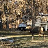 Review photo of Cherry Creek Road by Cindy  M., August 10, 2020