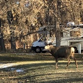 Review photo of Cherry Creek State Park Campground by Cindy  M., August 10, 2020