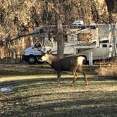 Review photo of Cherry Creek State Park Campground by Cindy  M., August 10, 2020