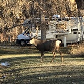 Review photo of Cherry Creek State Park Campground by Cindy  M., August 10, 2020
