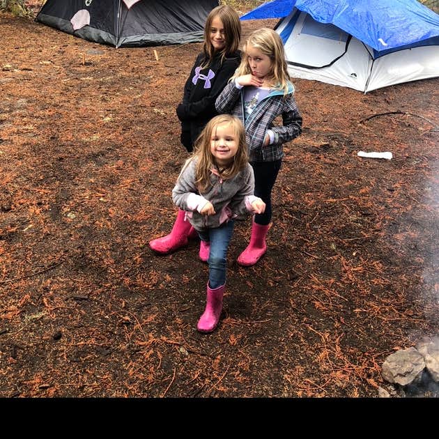 Gifford Pinchot National Forest Dispersed Site Camping Gifford