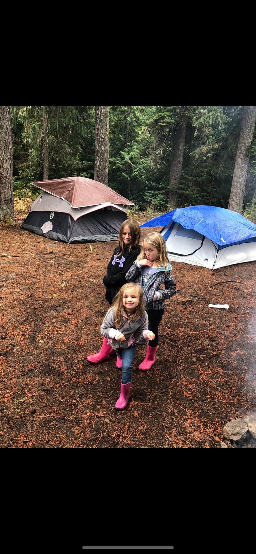 Camper submitted image from Gifford Pinchot National Forest Dispersed Site - 5