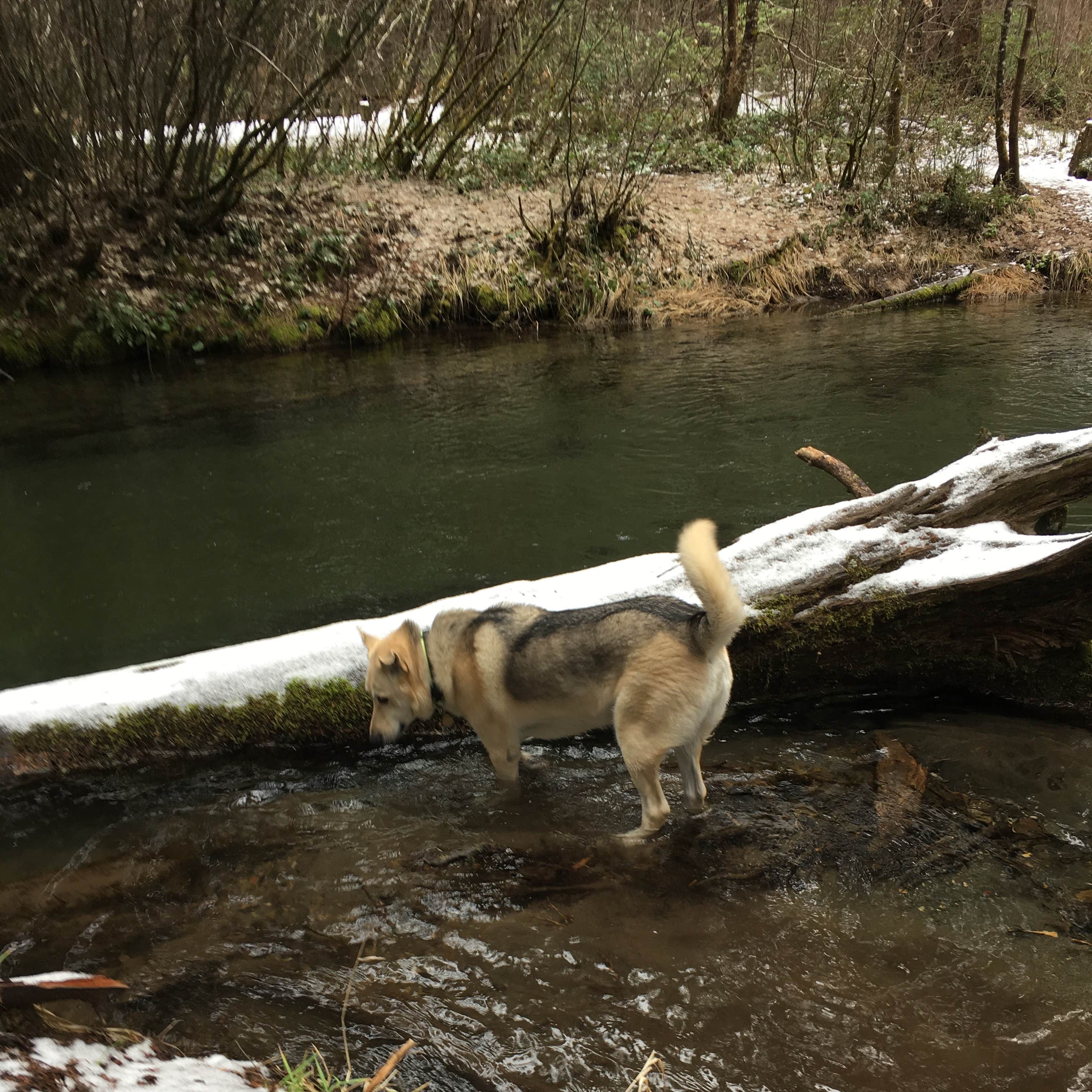 Union Creek Campground