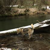 Review photo of Union Creek Campground by Larry  L., August 10, 2020