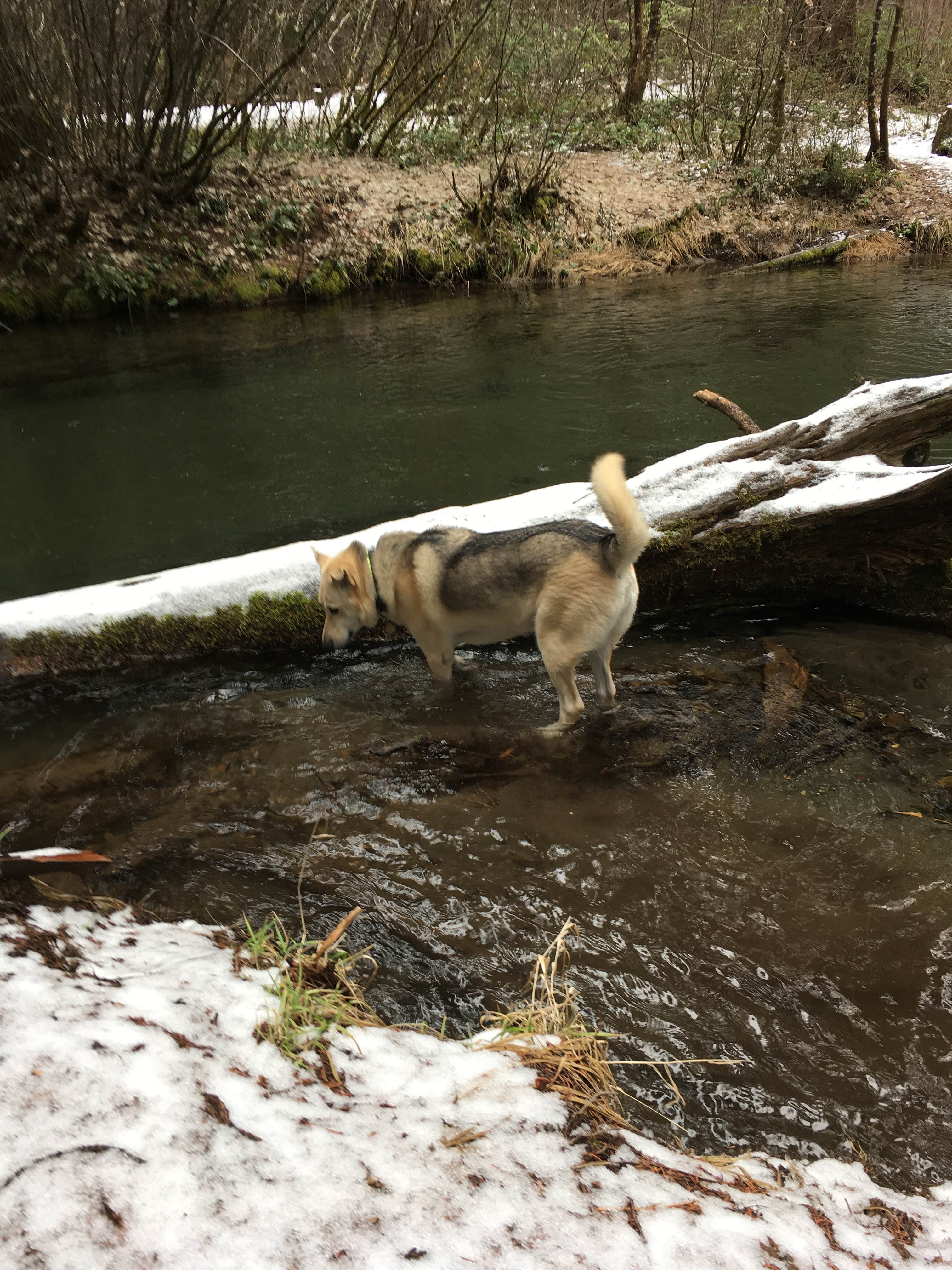 Camper submitted image from Union Creek Campground - 1