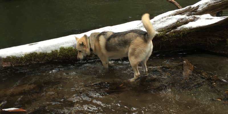 Camper submitted image from Union Creek Campground