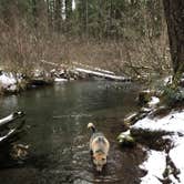 Review photo of Union Creek Campground by Larry  L., August 10, 2020