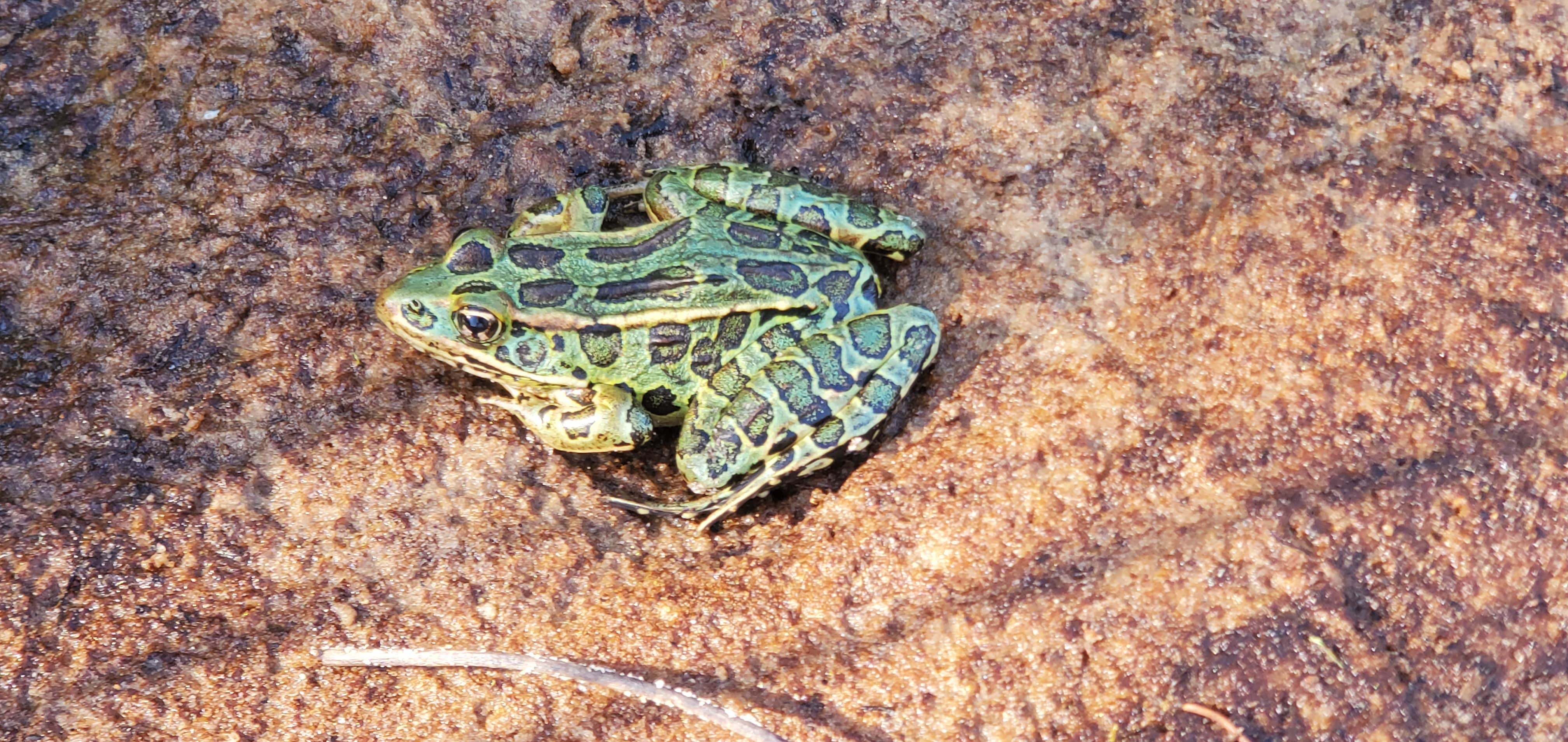Camper-submitted photo at Big Knob State Forest Campground near Beaver Island, MI
