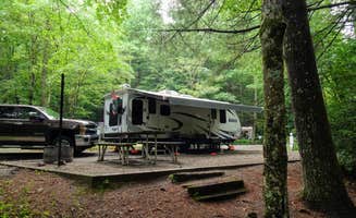 Annell N.'s photo at Lake Winfield Scott Campground near Chattahoochee-Oconee National Forests
