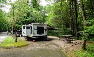 Annell N.'s photo at Lake Winfield Scott Campground near Chattahoochee-Oconee National Forests