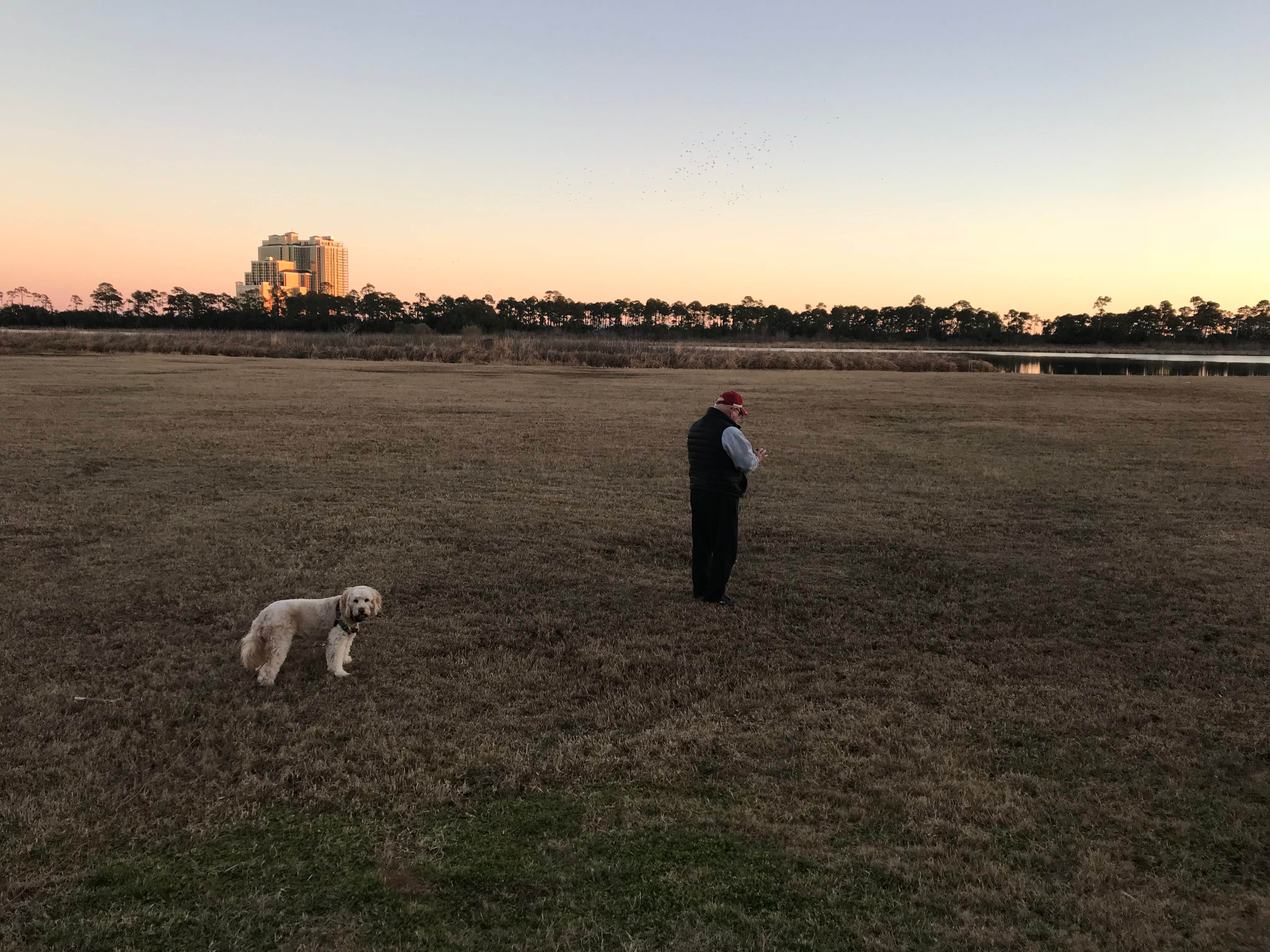 Cathy W.'s photo of camping with pets at Gulf State Park Campground near Foley, AL
