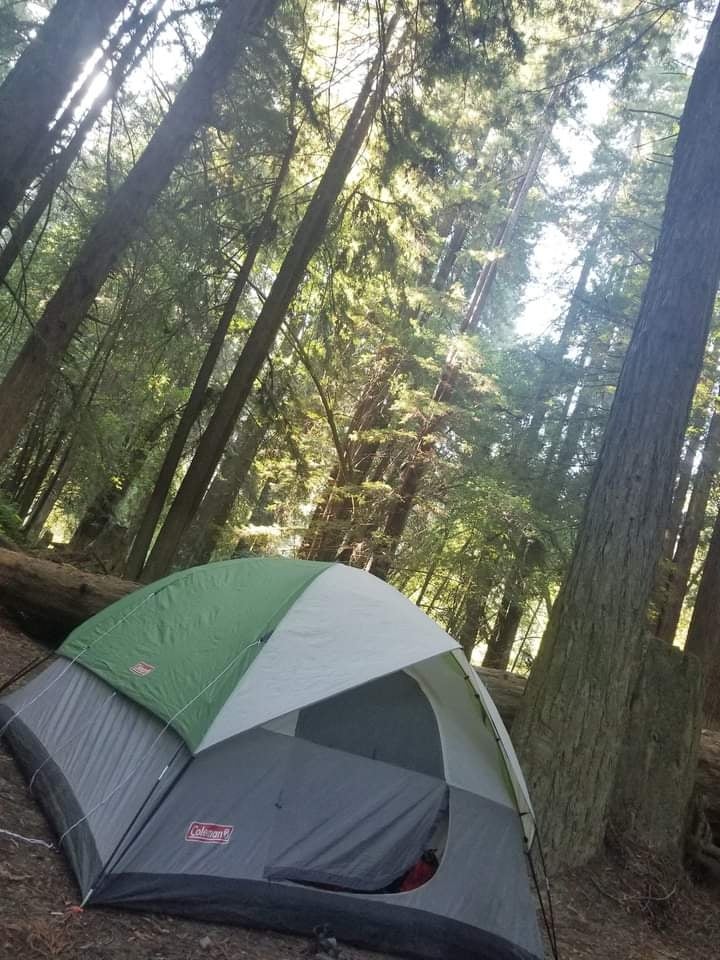 Camper submitted image from Paul M. Demmick Campground — Navarro River Redwoods State Park - 5