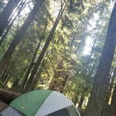 Review photo of Paul M. Demmick Campground — Navarro River Redwoods State Park by Cary A., August 10, 2020