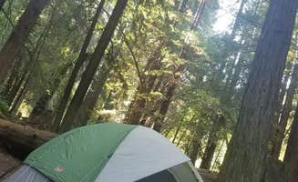 Cary A.'s photo of tent camping at Paul M. Demmick Campground — Navarro River Redwoods State Park near Soda Springs, CA