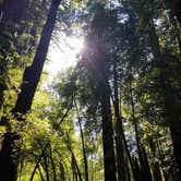 Review photo of Paul M. Demmick Campground — Navarro River Redwoods State Park by Cary A., August 10, 2020