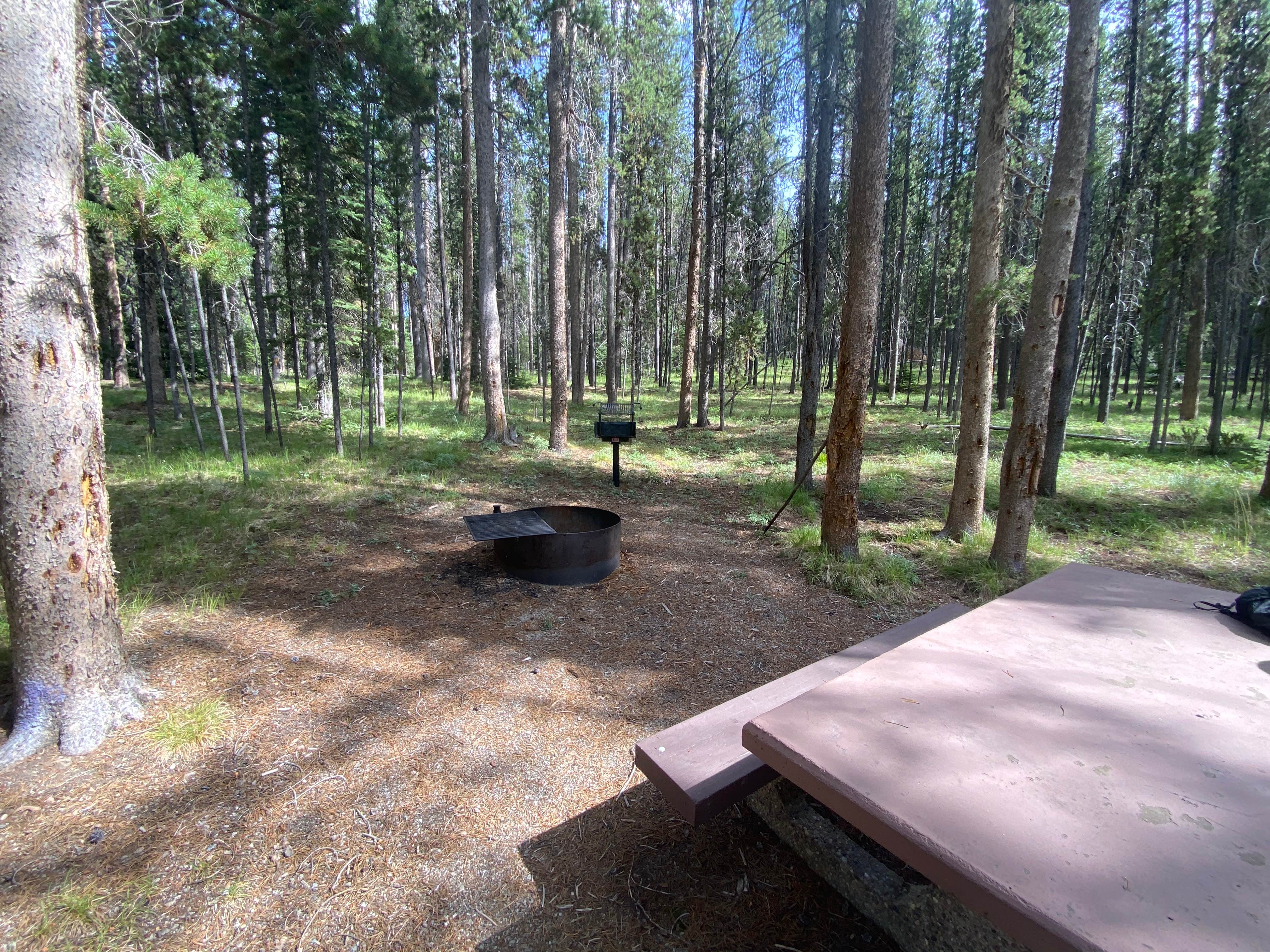 Camping near Twin Creek Campground Group Camping Site: May Creek, Gibbonsville, Montana