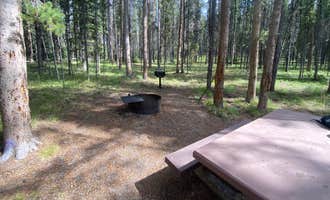 Camping near Gordon Reese Cabin: May Creek, Gibbonsville, Montana
