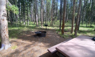 Camping near Twin Lakes: May Creek, Gibbonsville, Montana