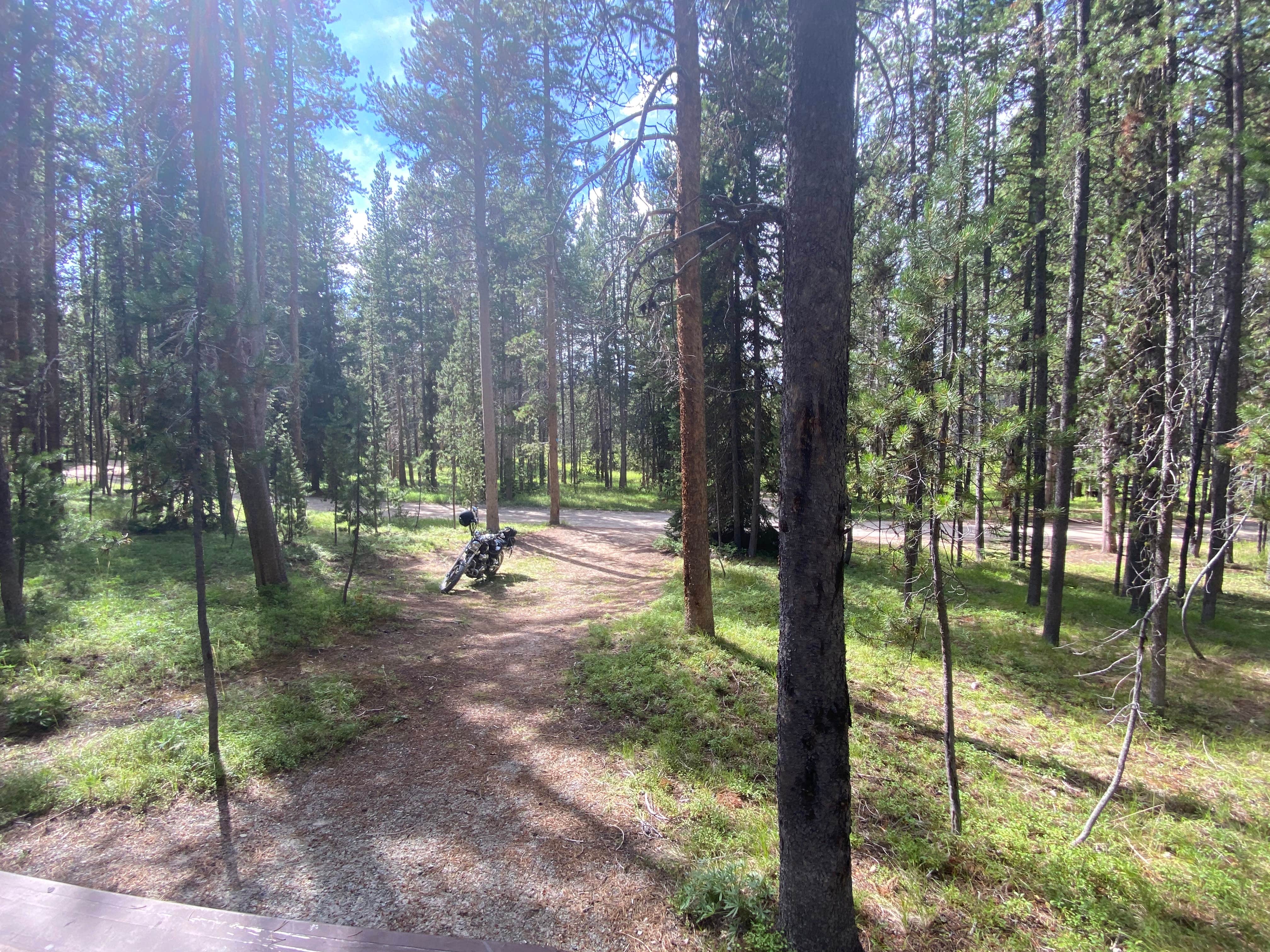 Camper-submitted photo at May Creek near Conner, MT