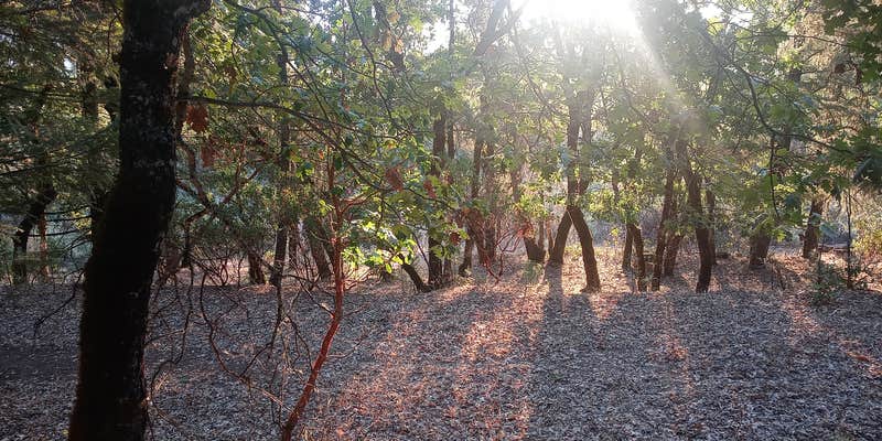 Camper submitted image from Pogie Point Campground