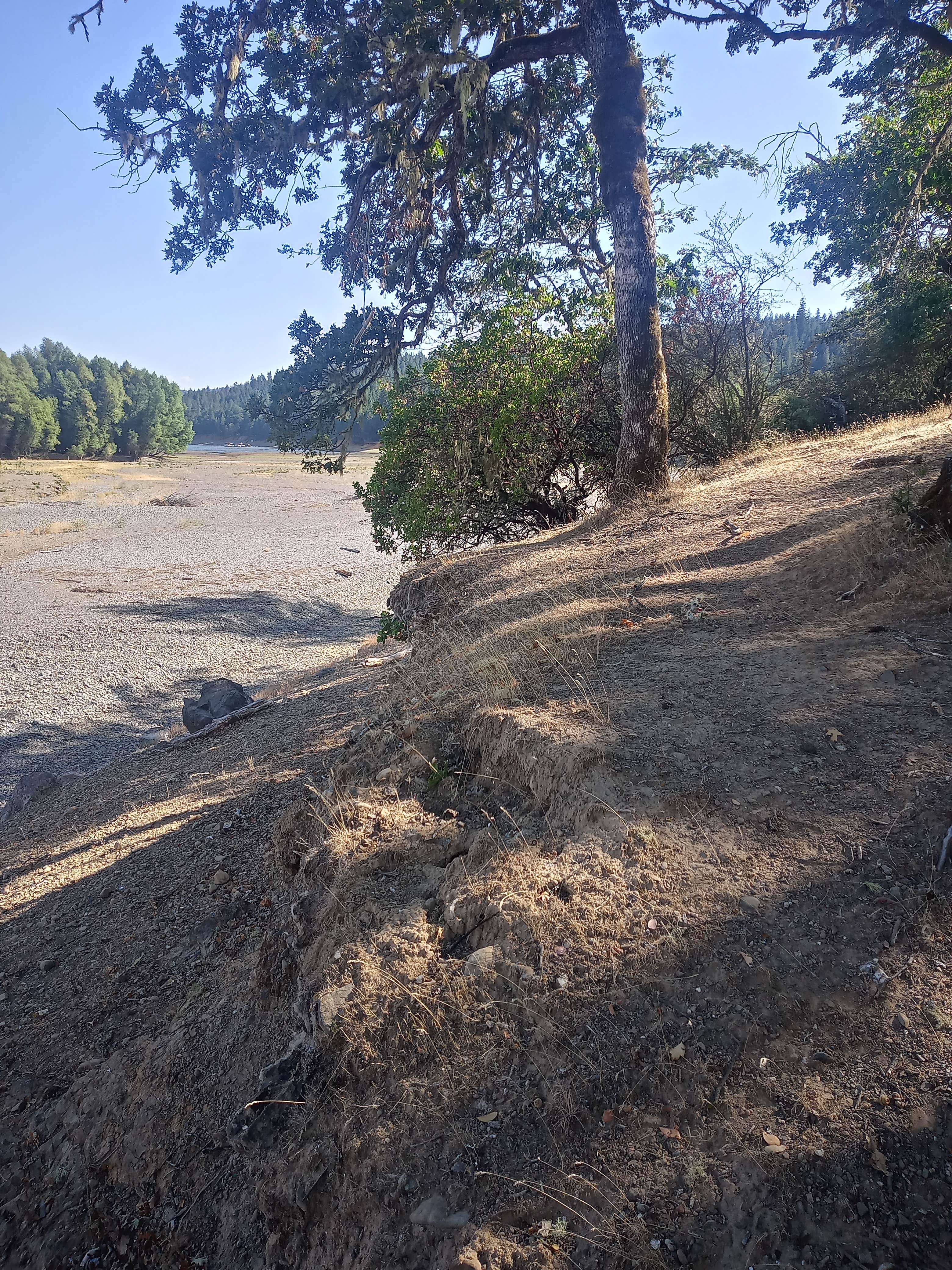 Camper-submitted photo at Pogie Point Campground near Mendocino National Forest