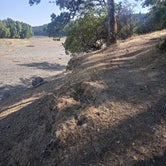 Review photo of Pogie Point Campground by Cary A., August 10, 2020