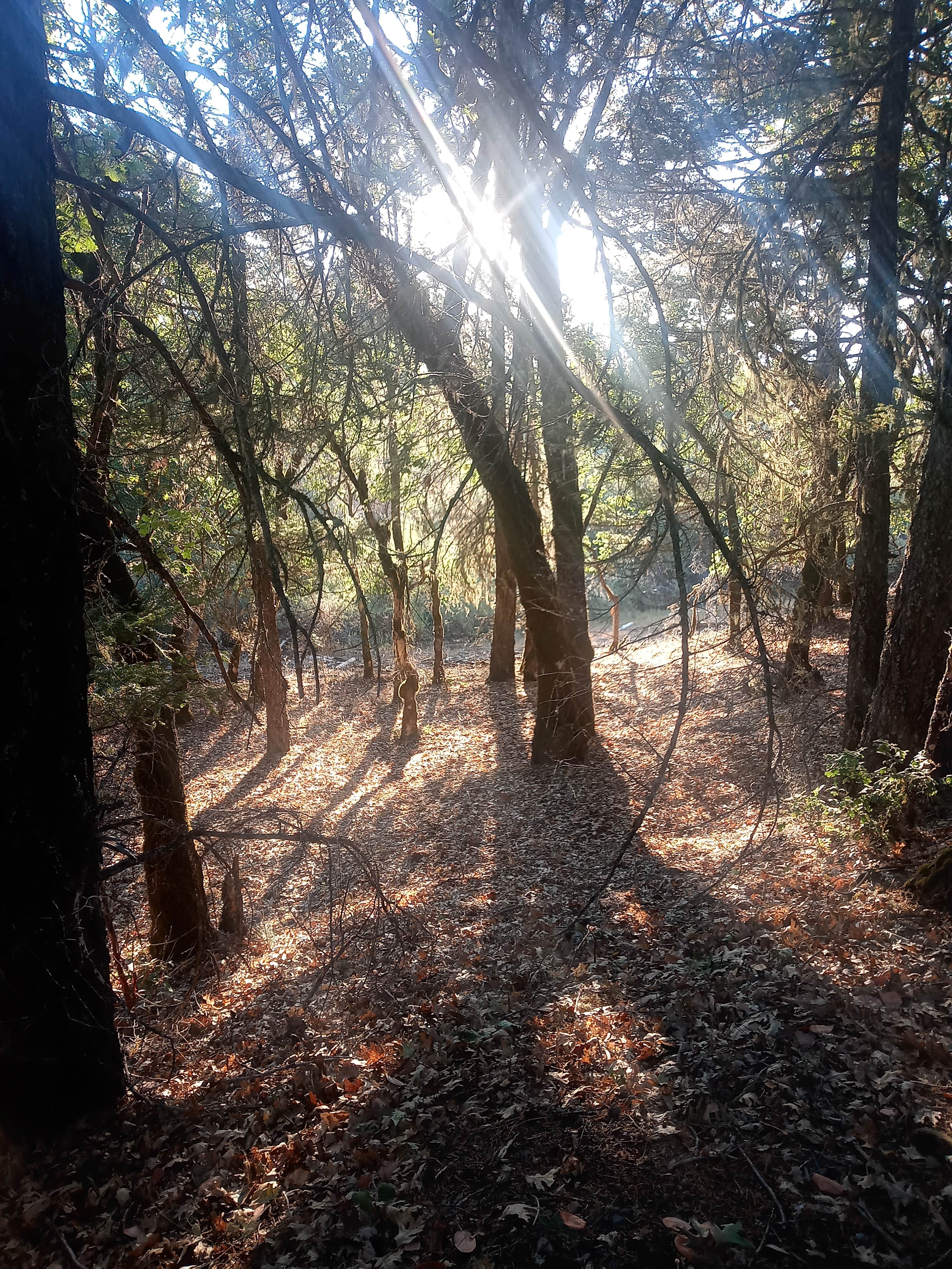 Camper submitted image from Pogie Point Campground - 2