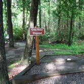 Review photo of Vogel State Park Campground by Annell N., August 10, 2020