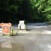 Review photo of Vogel State Park Campground by Annell N., August 10, 2020