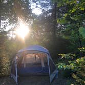 Review photo of Wildhurst Lodge and Campground by Lindsey H., August 10, 2020
