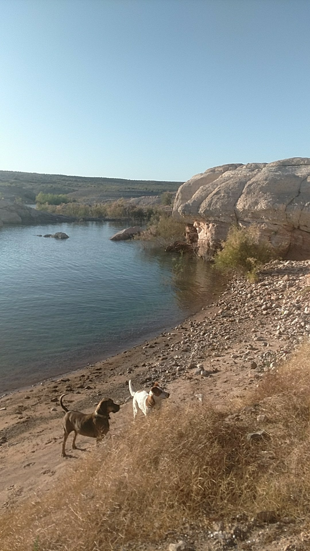 Camper submitted image from Crawdad Cove Dispersed Camping — Lake Mead National Recreation Area - 1
